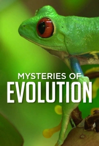 Постер «Загадки эволюции»